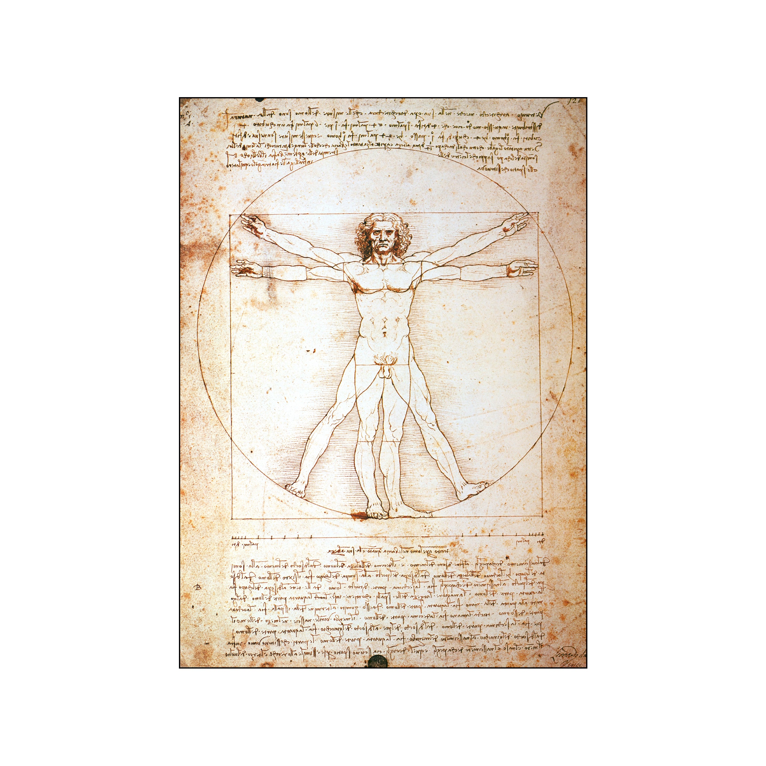 Poster Imbue – Vitruvian Man-Made – édition Limitée – Street Art Neuf