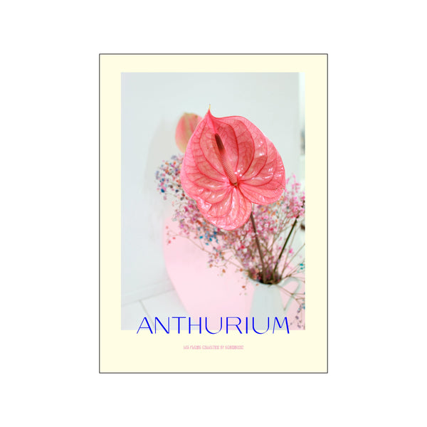 Anthurium I