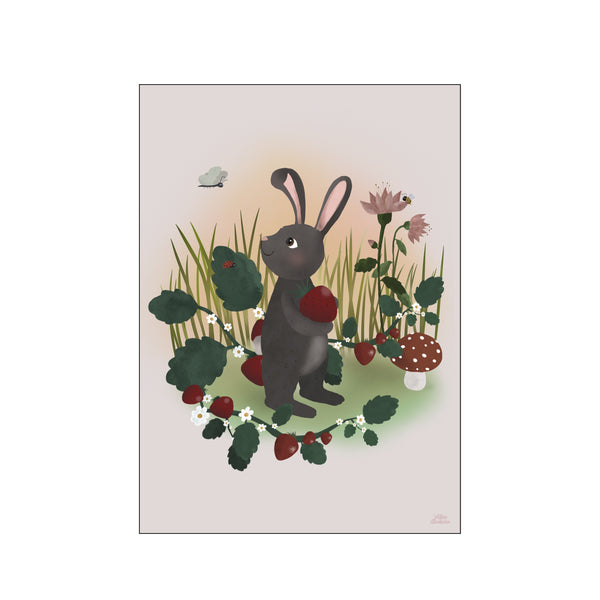 Bunny and butterfly — Art print by Willero Illustrations from Poster & Frame