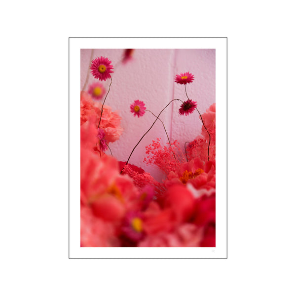 Cherry blossom 2 — Art print by Poppykalas from Poster & Frame
