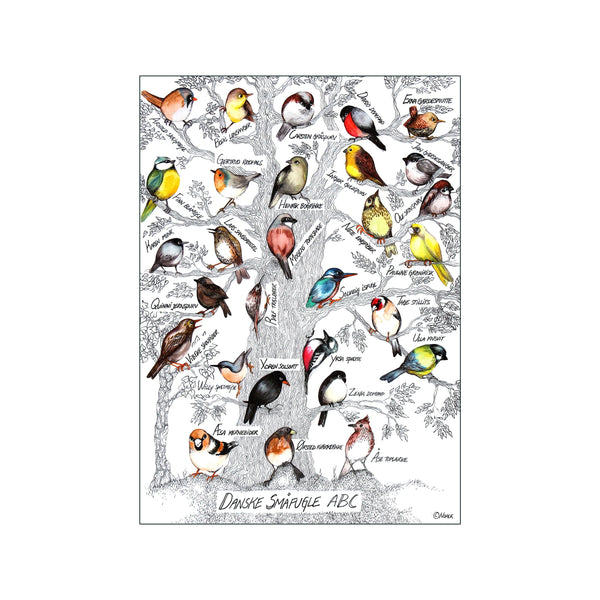 Bird ABC — Art print by Ida Noack from Poster & Frame