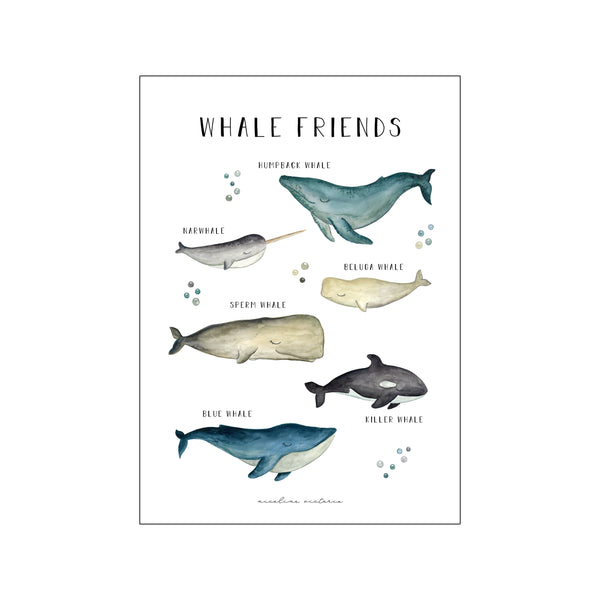 Whale Hello Women's Printed Yoga Crop