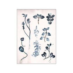 Herbs & Seaweed - Garden Herb Blue — Art print by Pernille Folcarelli from Poster & Frame