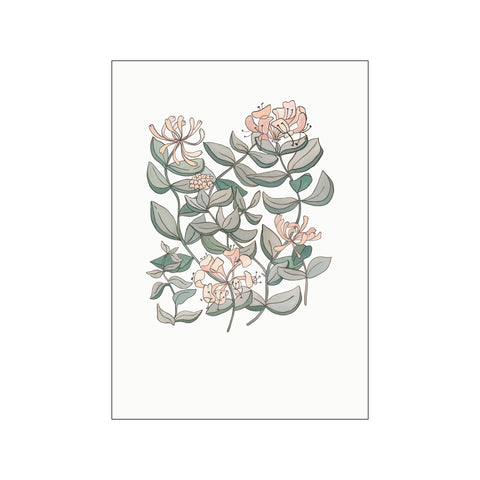 Honeysuckle — Art print by Anna Petersen from Poster & Frame