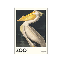 The Zoo Collection — White Pelican — Edt. 001 — Art print by A.P. Atelier from Poster & Frame