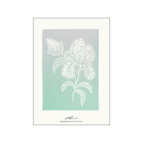 Flora one — Art print by Amalie Hovgesen from Poster & Frame