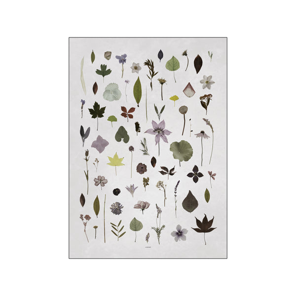 Bloom — Art print by A Love Story by Anne Mark Møller from Poster & Frame