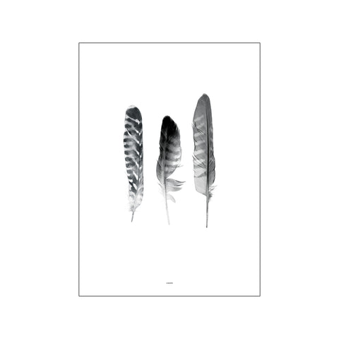 Feather