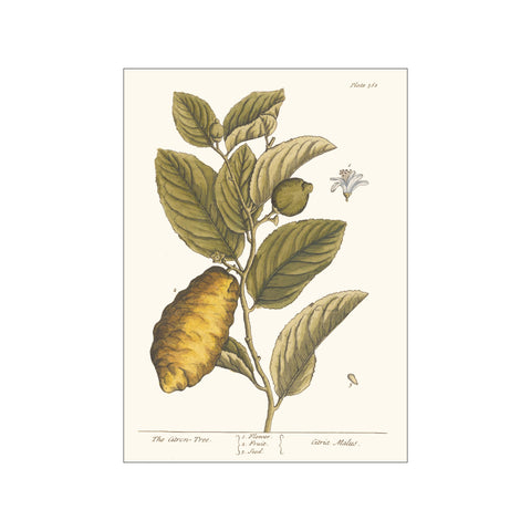 Artimuus 07 — Art print by Artimuus from Poster & Frame