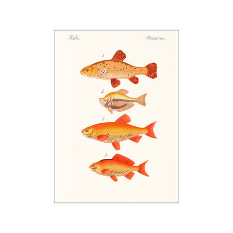 Artimuus 135 — Art print by Artimuus from Poster & Frame