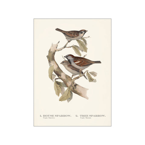 Artimuus 165 — Art print by Artimuus from Poster & Frame