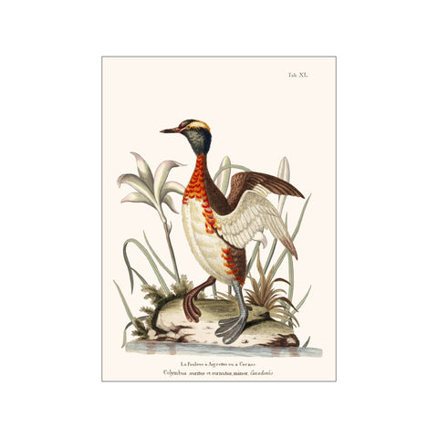 Artimuus 16 — Art print by Artimuus from Poster & Frame