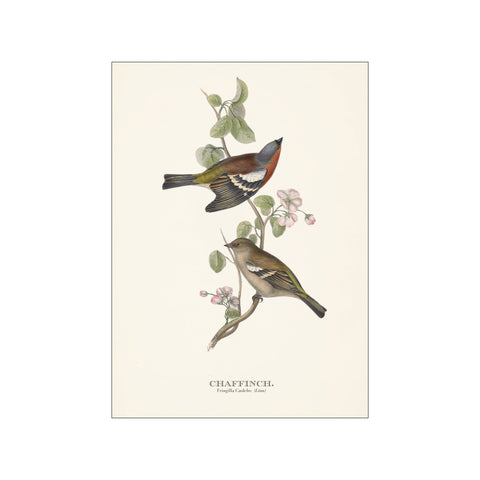 Artimuus 171 — Art print by Artimuus from Poster & Frame