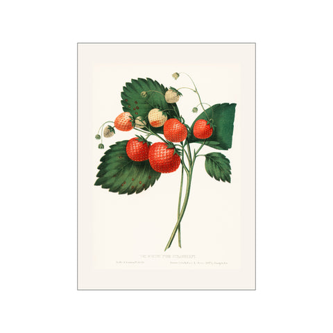 Artimuus 179 — Art print by Artimuus from Poster & Frame