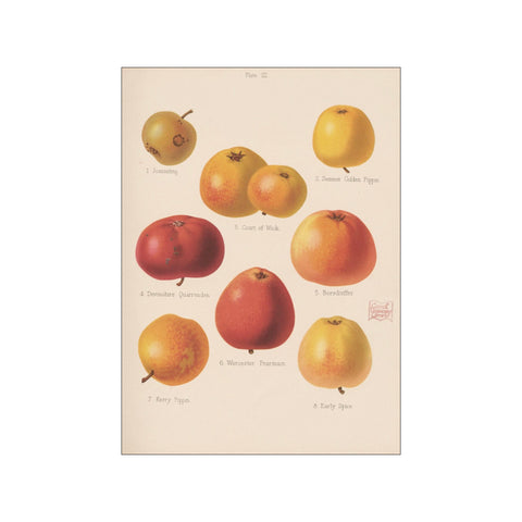 Artimuus 196 — Art print by Artimuus from Poster & Frame