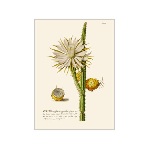 Artimuus 21 — Art print by Artimuus from Poster & Frame