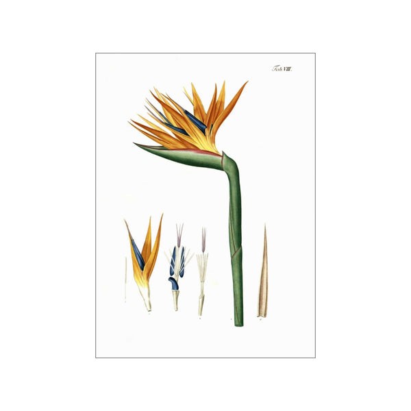 Artimuus 34 — Art print by Artimuus from Poster & Frame