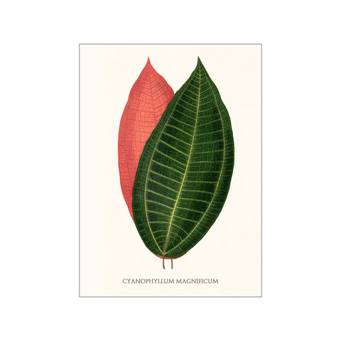 Artimuus 45 — Art print by Artimuus from Poster & Frame