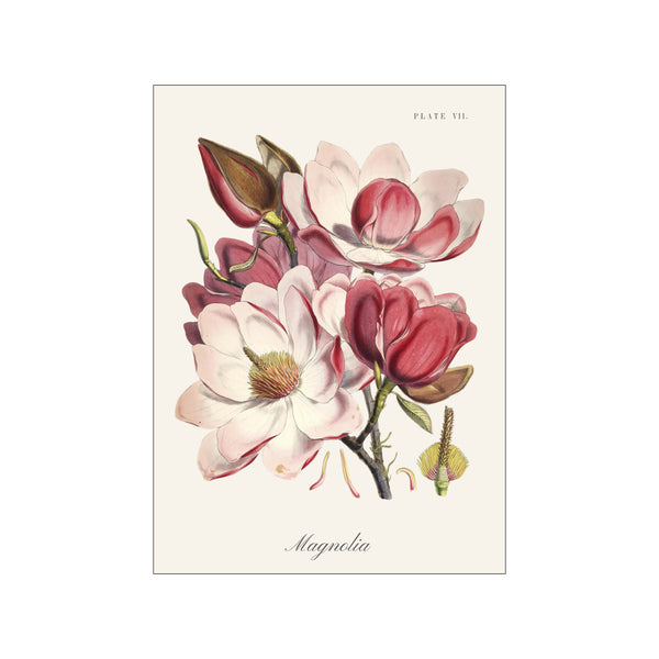 Artimuus 63 — Art print by Artimuus from Poster & Frame