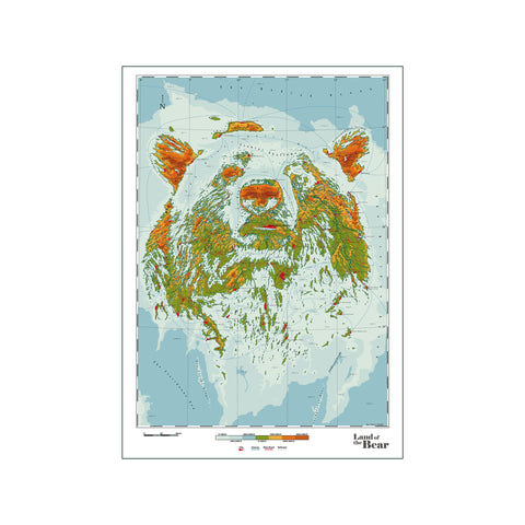 Bear — Art print by DAU-DAW from Poster & Frame