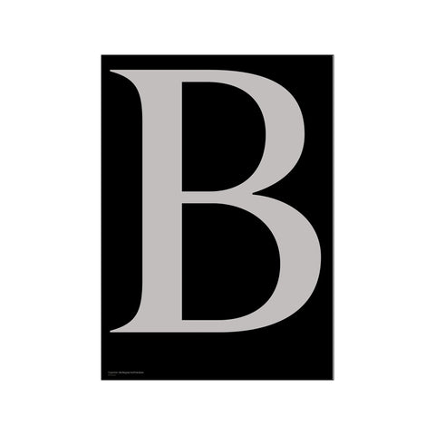 Berlingske B