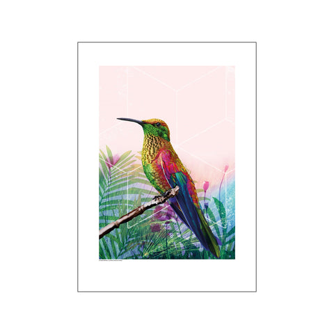 Bird - Grøn/Pink — Art print by GraphicARTcph from Poster & Frame