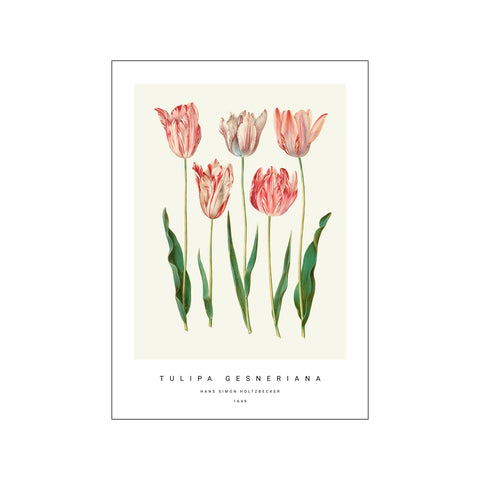 Botanic I — Art print by PSTR Studio from Poster & Frame