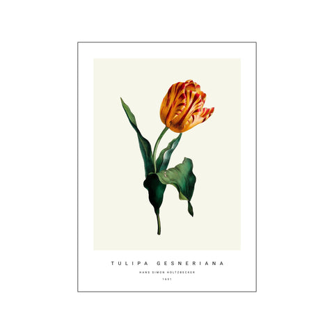 Botanic IV — Art print by PSTR Studio from Poster & Frame