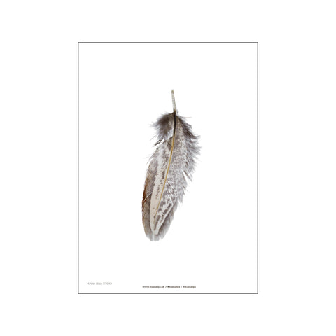 Brown Feather — Art print by Kasia Lilja from Poster & Frame