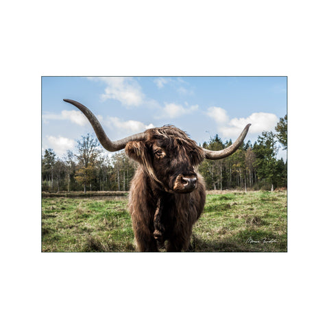 Brynja — Art print by Monica Bindslev from Poster & Frame