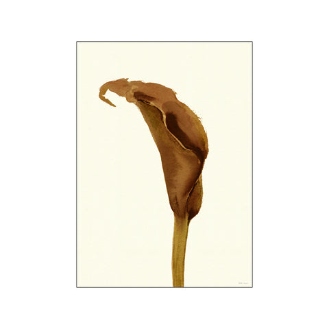 Calla Cognac — Art print by Dorthe Svarrer from Poster & Frame