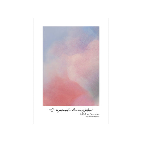 Campánula Persicifólia — Art print by Meadow Ceramics from Poster & Frame