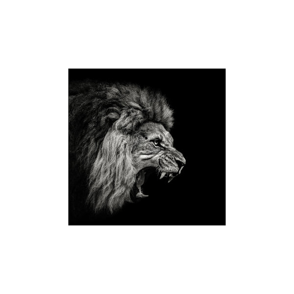 Roaring Lion #2 — Art print by Christian Meermann from Poster & Frame
