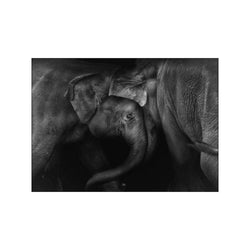 Elephant 2 — Art print by Claudio Ceriali from Poster & Frame