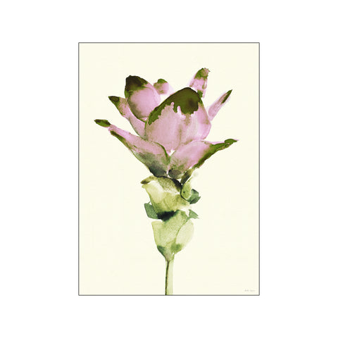 Curcuma — Art print by Dorthe Svarrer from Poster & Frame