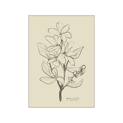 Floral No.1 — Art print by Dan Hobday from Poster & Frame