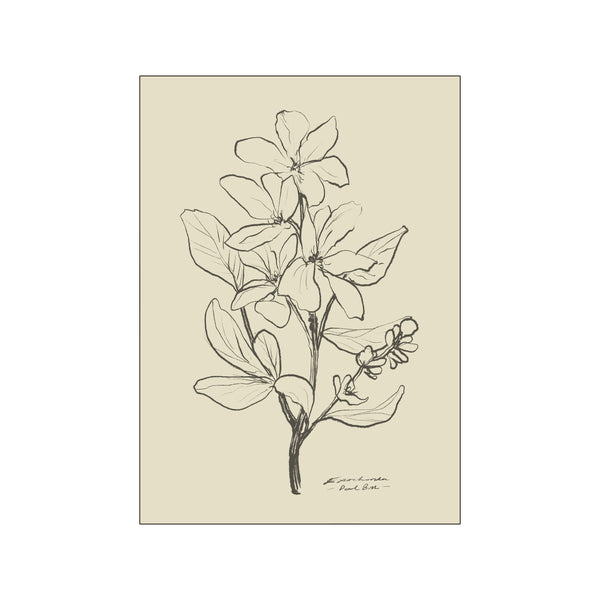 Floral No.1 — Art print by Dan Hobday from Poster & Frame