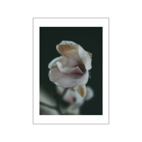 Dark Spring — Art print by Norph from Poster & Frame