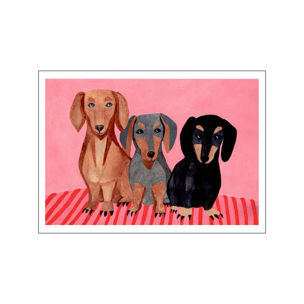 Dachshunds — Art print by Iga Kosicka from Poster & Frame