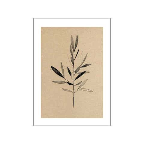 Olive — Art print by The Poster Club x Ekaterina Koroleva from Poster & Frame