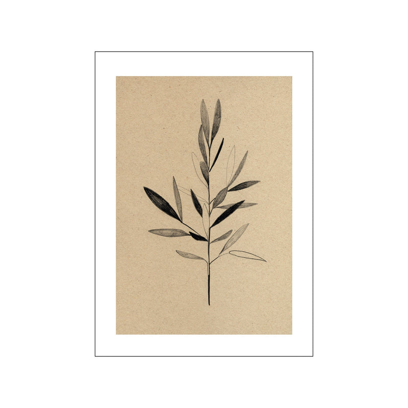 Olive — Art print by The Poster Club x Ekaterina Koroleva from Poster & Frame