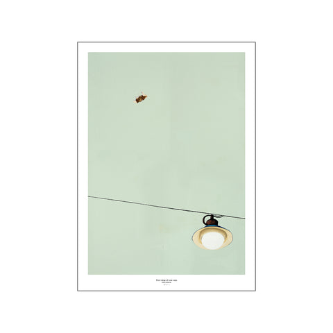 First drop of cow rain — Art print by Esben Pretzmann from Poster & Frame