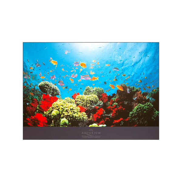 Aquarium — Art print by Federico Busonero from Poster & Frame