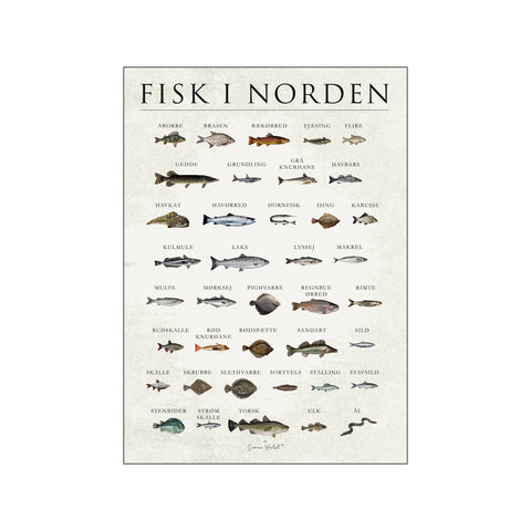 Fisk i norden