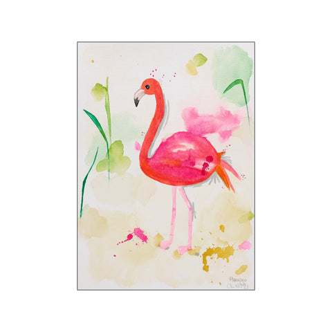 Flamingo