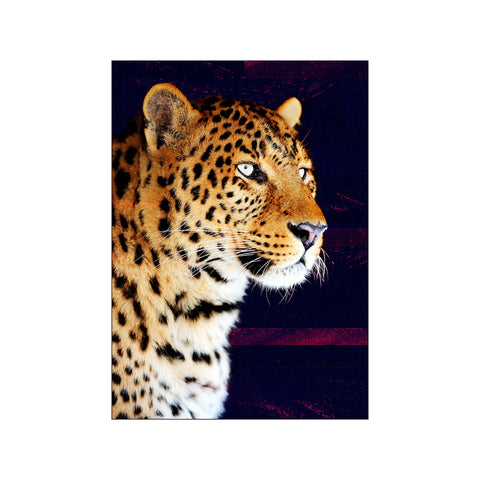 Flicker Leopard — Art print by Flamboyant from Poster & Frame