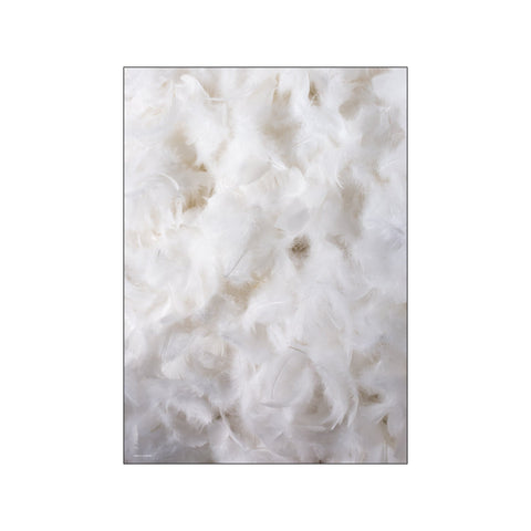 Fluffy feather 2 — Art print by Kasia Lilja from Poster & Frame