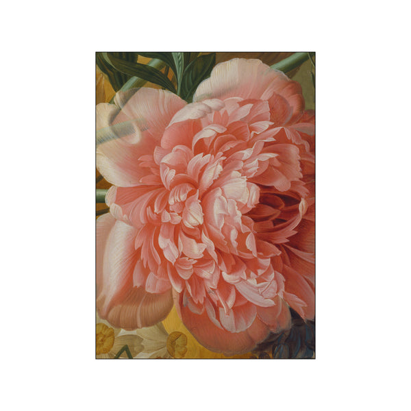 Peony — Art print by National Gallery from Poster & Frame