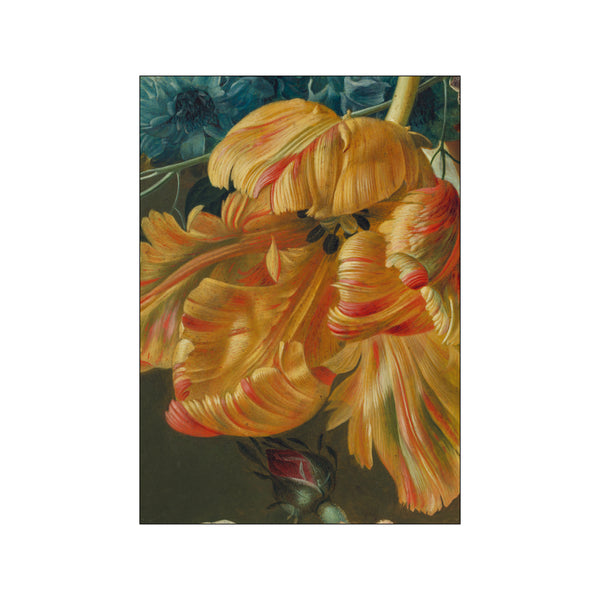 Tulip — Art print by National Gallery from Poster & Frame