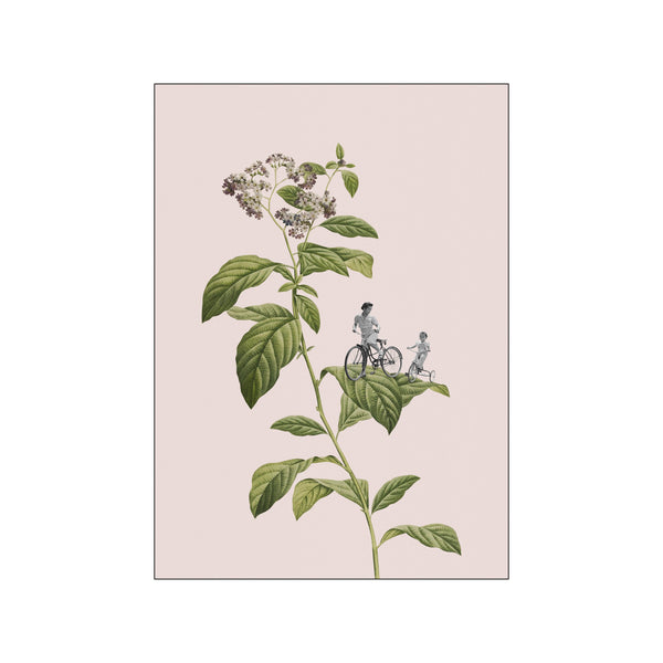 Botanical Cycling — Art print by Frida Floral Studio from Poster & Frame